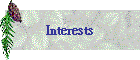Interests