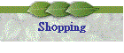 Shopping